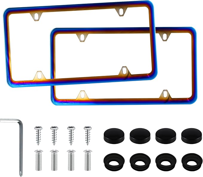 LivTee 4 Holes Stainless Steel License Plate Frames, Automotive Exterior by LivTee