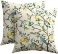 Floral Botanical Throw Pillow Covers 18x18 Set of 2 Hummingbird Pear Thanksgiving Pillow Covers Watercolor Cottagecore Pillowcase for Kitchen Sofa Cushion Outdoor Couch Bedroom Living Room Decoration by Trongr