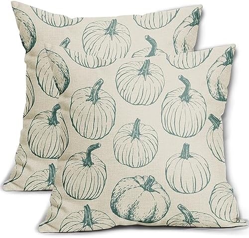 Fall Pillow Covers 18x18 Set of 2 Light Blue Pumpkin Autumn Themed Thanksgiving Harvest Print Decorative Throw Pillows Outdoor Pillowcase Linen Cushion Case Decor for Sofa Couch Bed by Aytipun