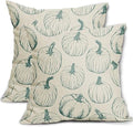 Fall Pillow Covers 18x18 Set of 2 Light Blue Pumpkin Autumn Themed Thanksgiving Harvest Print Decorative Throw Pillows Outdoor Pillowcase Linen Cushion Case Decor for Sofa Couch Bed by Aytipun
