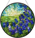 Bluebonnets Suncatcher Stained Glass Window Hangings for Women Mom Red Birds Sun Catchers Colorful Ornament Bird Lovers Gift Gifts for Women Mom Wife by 365CUSGIFTS