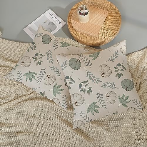 Fall Pillow Covers 16x16 Set of 2 Pumpkin and Maple Leaf Fall Decor Pillowcase Linen Autumn Thanksgiving Decorative Outdoor Throw Pillow Covers Warm Tones Farmhouse Cushion Case for Couch Home - Image 6