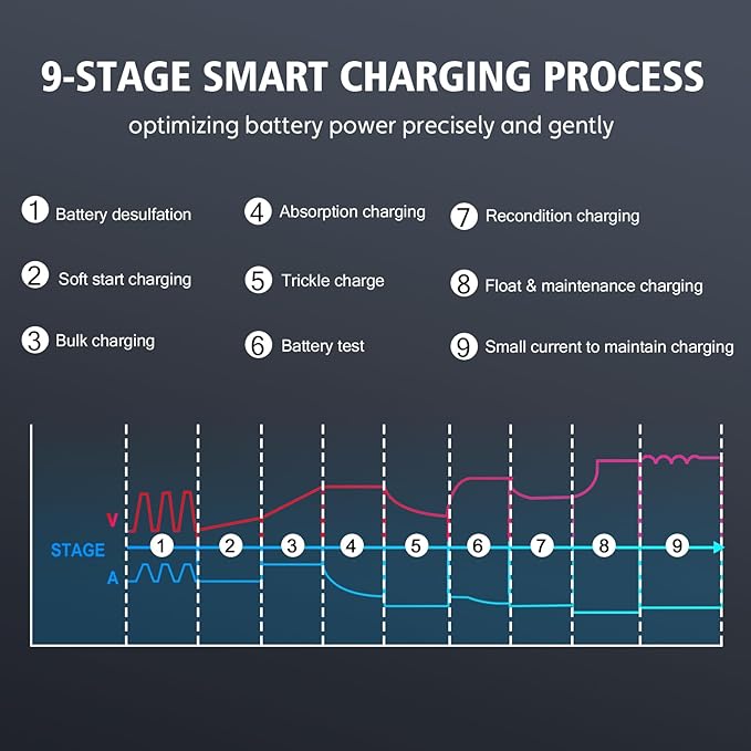 Lithium Lifepo4 Battery Charger, 12V 24V AGM Deep Cycle Fully Automatic Car - Image 5