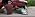 TRQ Front Right Inner Fender Liner Passenger Side