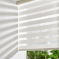 Persilux Cordless Zebra Roller Window Shades Free-Stop Roller Blinds Light by PersiluxHome