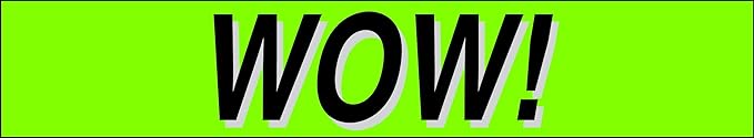 Ez-line Vinyl Windshield Stickers 3 Dozen 15 Inch Chartreuse Slogan Dealership - Image 3