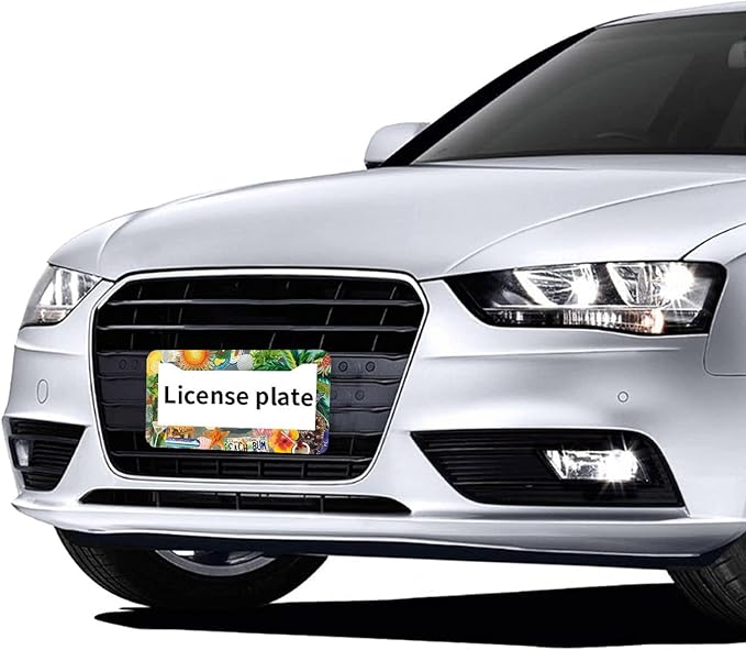 Summer Beach License Plate Frames - Image 6