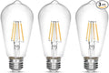 LED Edison Bulb 4W, Antique 40W Vintage Edison Bulb, E26 Light Bulb Non by NOTOC