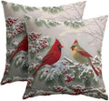 Winter Throw Pillow Covers 22x22 Set of 2 Red Cardinal Bird Snow Berries by Trongr