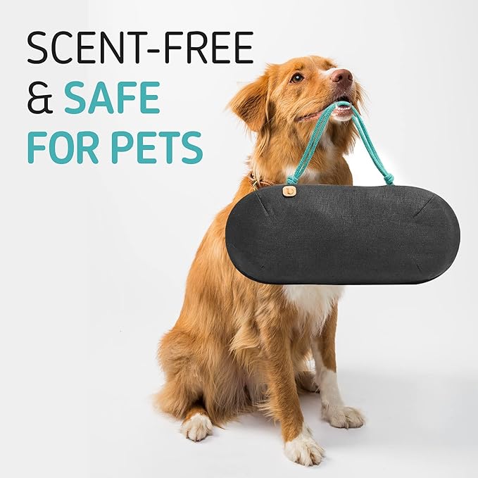Car Air Freshener - Image 5