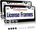 Stainless Steel Hibiscus Flower License Plate Frame Hibiscus License Plate by Unknown