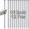 VVOKGO 16 Inch Rebar Stakes Metal Asphalt Anchoring Spikes Ground, 1/2 Inch by VVOKGO
