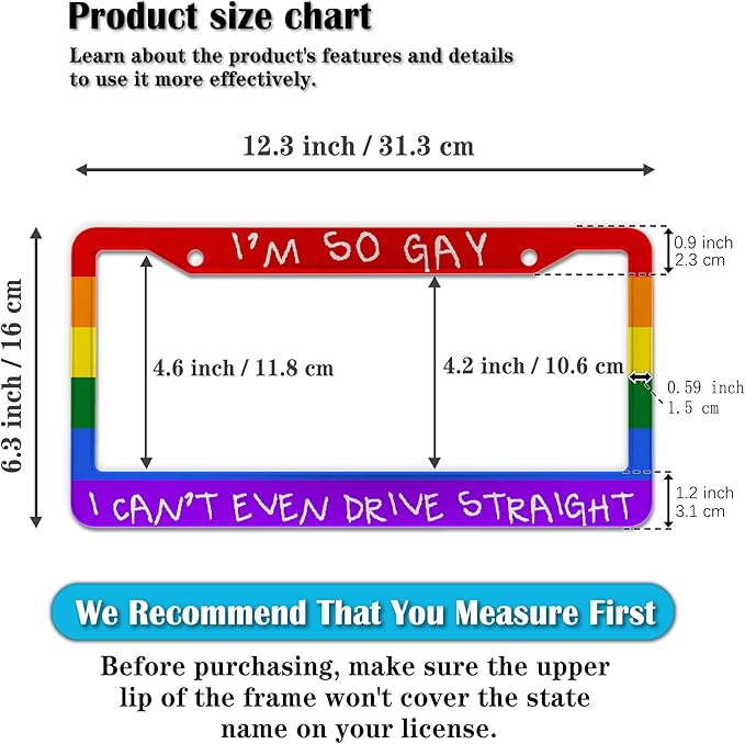 License Plate Frames Rainbow Automotive Exterior Accessories I'm So Gay I Can’t - Image 2