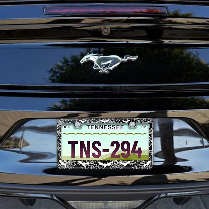 License Plate Frame for Bats and Spider Webs Stainless Steel License Plate - Image 5