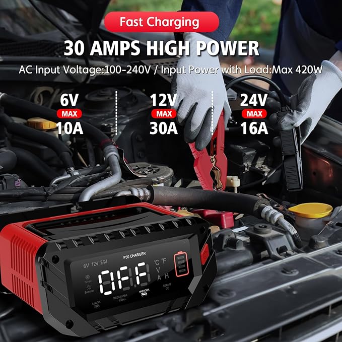 30 Amp Lithium Battery Charger, 6V10A/12V30A/24V16A Lifepo4, Lead-Acid Smart - Image 4