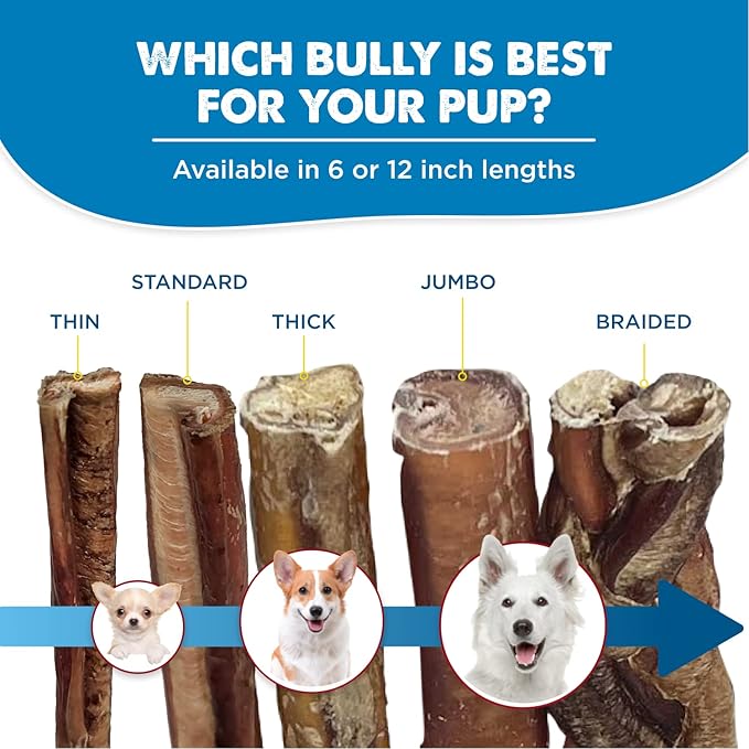 Best Bully Sticks 6 Inch Bully Sticks - Image 5