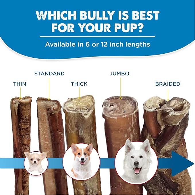Best Bully Sticks 12 Inch Bully Sticks - Image 6