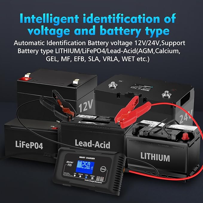 25Amp Lithium Battery Charger, 12V and 24V Lead-Acid Battery Charger, Battery - Image 5