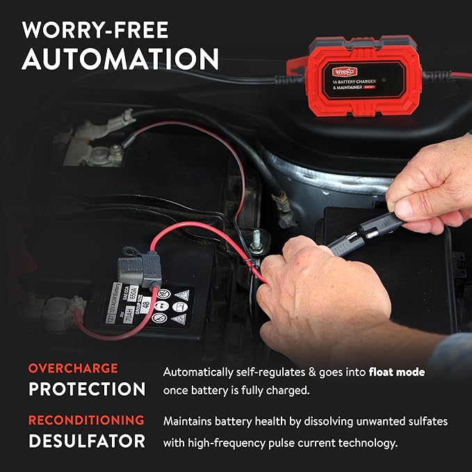 Weego 1A Battery Maintainer/Trickle Charger - Image 4
