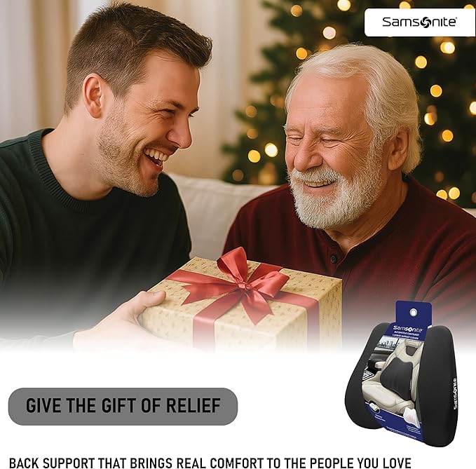 Samsonite Lumbar Support Pillow - Image 9