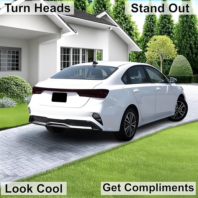 BOGAR TECH DESIGNS Full Rear Taillight Reflector Sidemarker Tail Light Tint Kit - Image 2