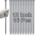 VVOKGO 12 Inch Rebar Stakes Metal Asphalt Anchoring Spikes Ground, 1/2 Inch by VVOKGO