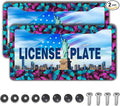 License Plate Frames Multicolor Car Plate Frame by Unknown