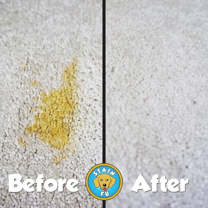 Pro Strength Carpet Odor & Stain Remover Works Like Magic in a Bottle on Tough - Image 6